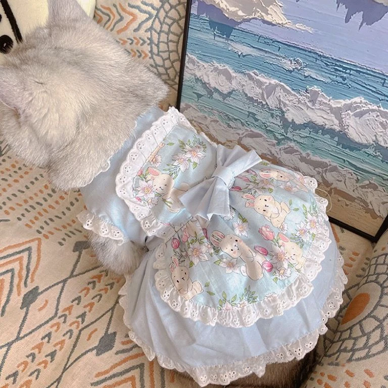 Lace Teddy Lingerie - Delantal de encaje Floral para mascotas,